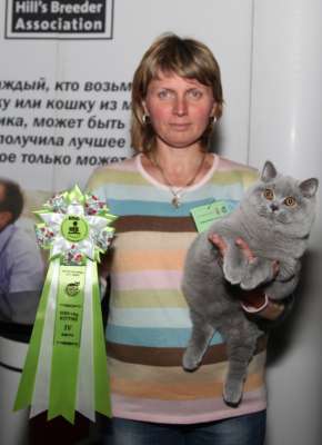 Выставка кошек 'Осенний Кэт-Салон' 30 ноября-1 декабря 2013., WCF-ринги 3101